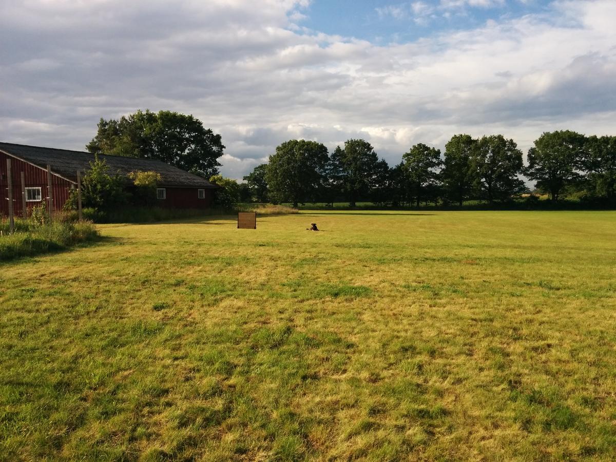 Olserods Hundcenter & VandrarhemDegeberga エクステリア 写真